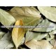 Dry bay leaf LEAVES